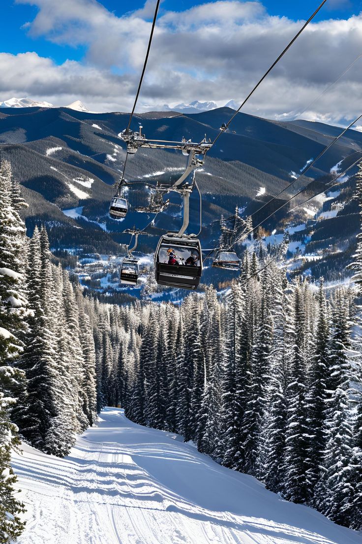 Aspen. Fresh powder, gondola views.